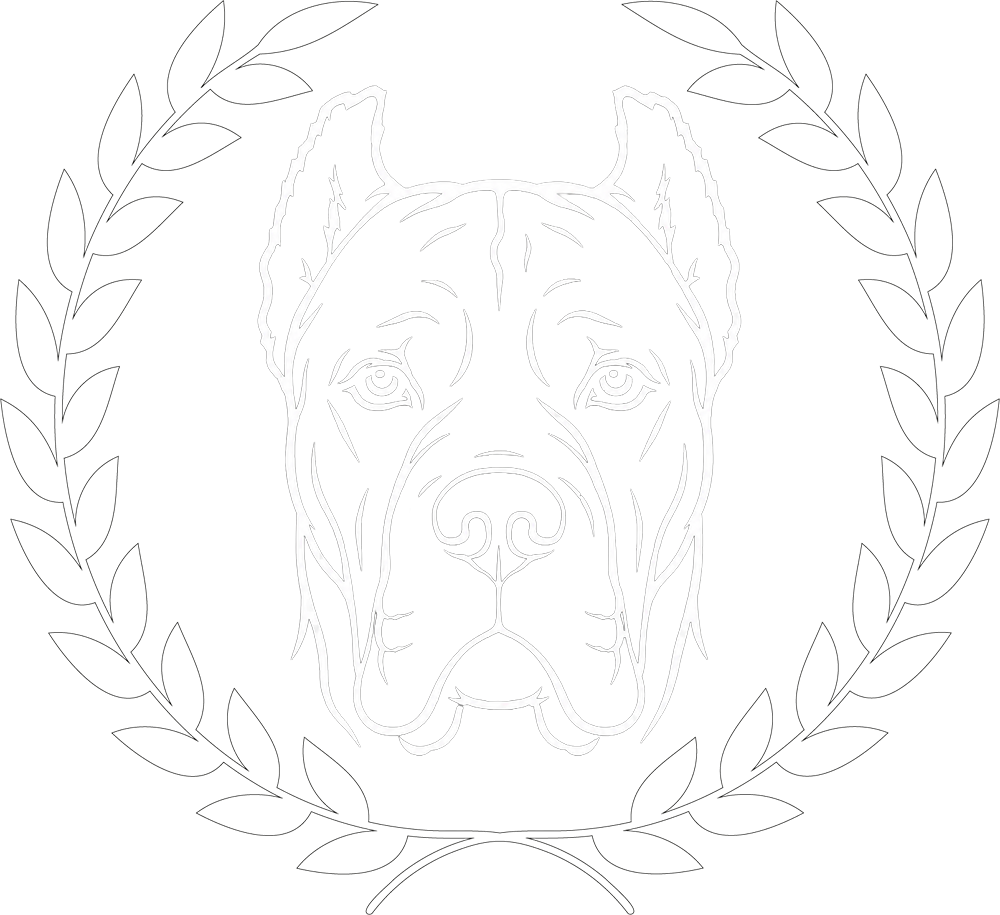 Invicta Logo